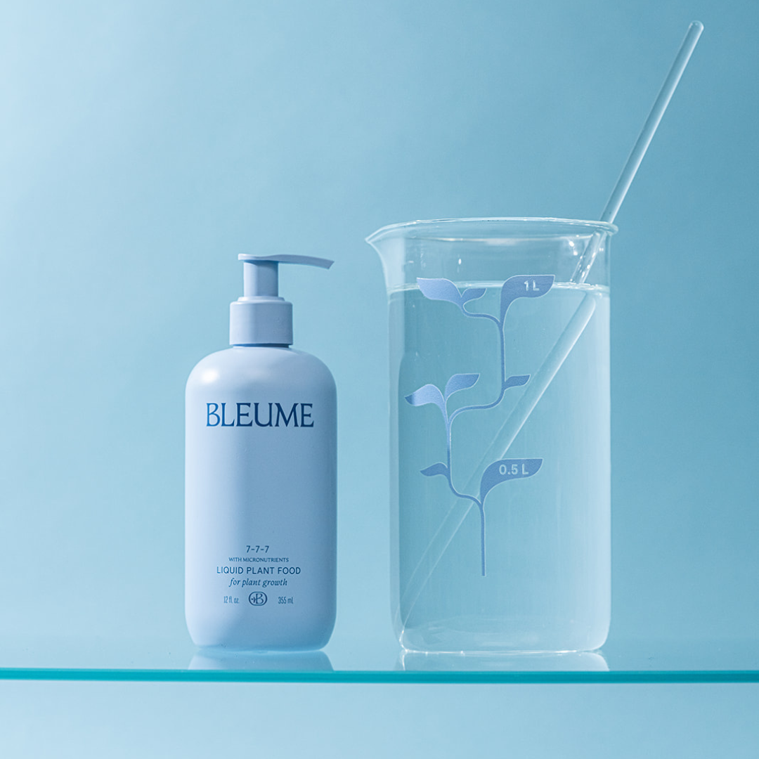 The Bleume Starter Kit